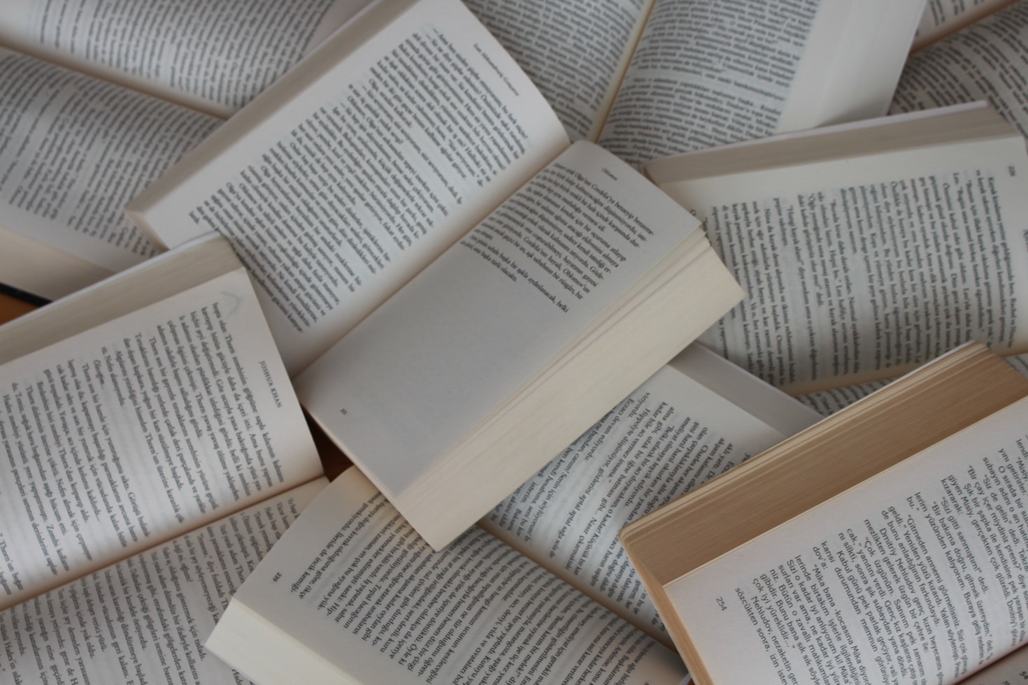 The Creative Process Behind Our Latest Novels